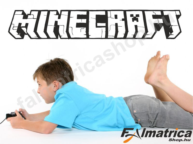 17. Minecraft falmatrica