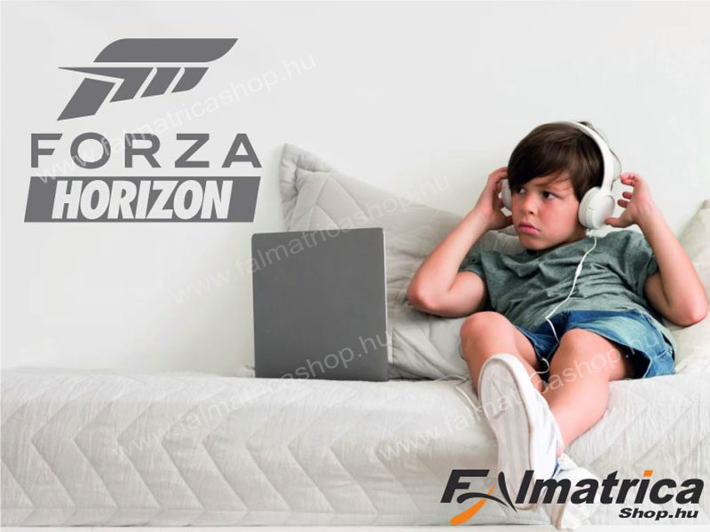 67. Forza Horizon falmatrica